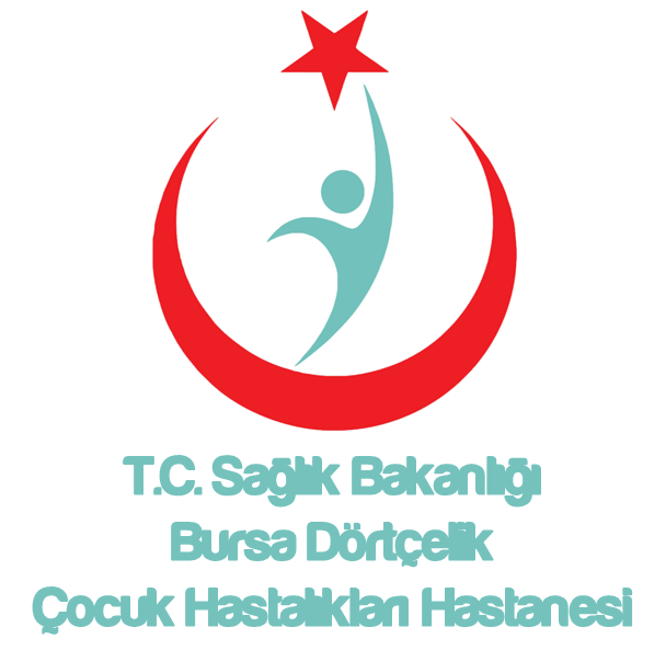 dortcelik_logo_son