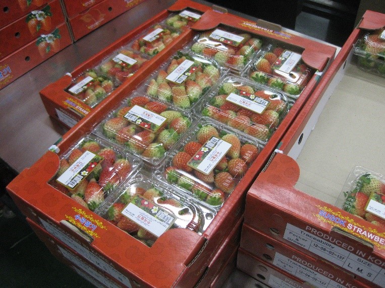 image showing punnets packed in cardboard carton ready for transportation or storage.