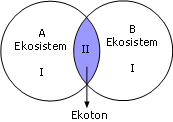 ekoton-nedir--98-0