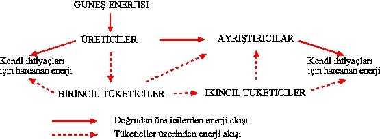 enerjiak