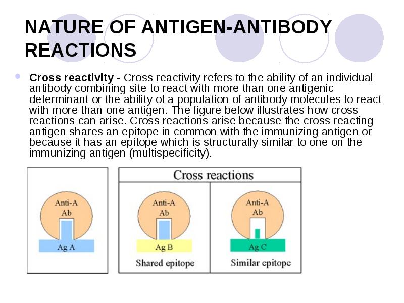 ihc antibody cross reactivity