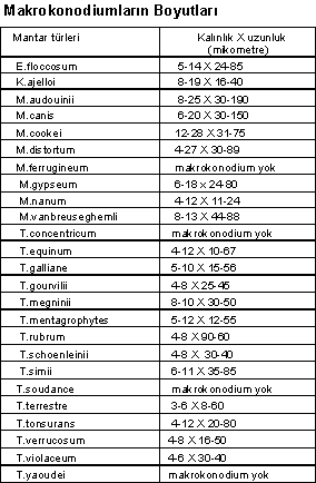 http://www.mikrobiyoloji.org/tr/genel/resimgoster.aspx?dil=1&belgeanah=3503&resimisim=g110014000_5.gif