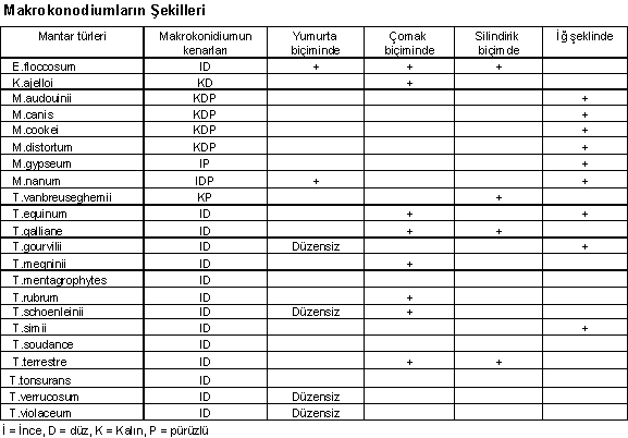 http://www.mikrobiyoloji.org/tr/genel/resimgoster.aspx?dil=1&belgeanah=3503&resimisim=g110014000_6.gif