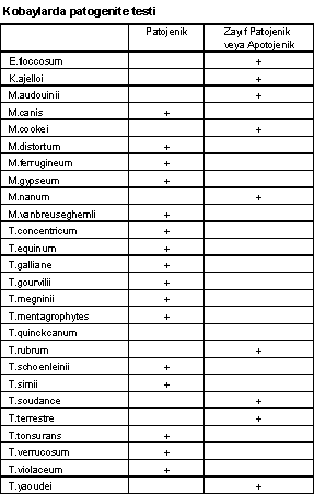 http://www.mikrobiyoloji.org/tr/genel/resimgoster.aspx?dil=1&belgeanah=3507&resimisim=j110014200_2.gif