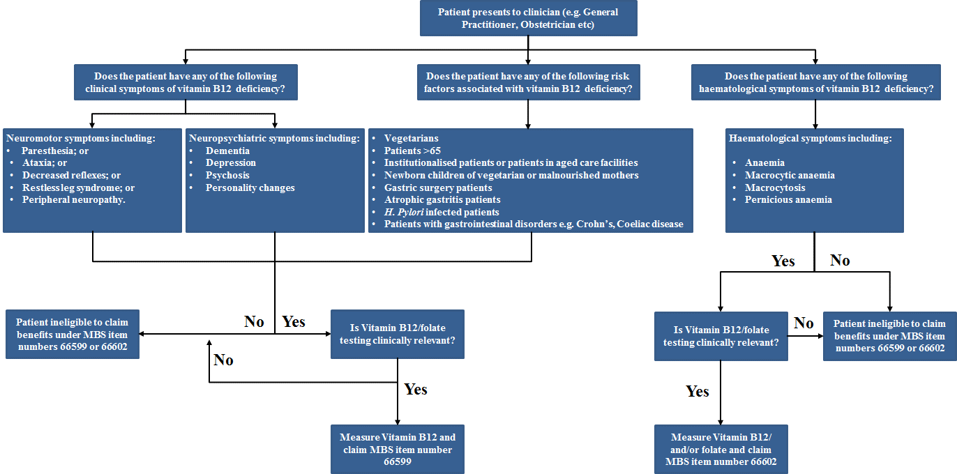 figure 1.3: clinical flow chart for vitamin b12 testing