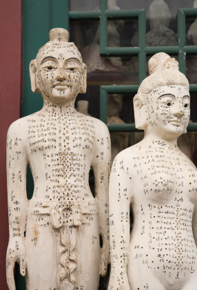 http://www.topoglu.com/ckfinder/userfiles/images/acupuncture_statues.jpg