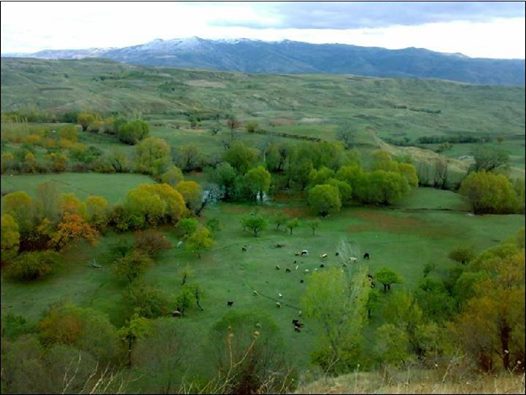 عکس: ‏باغی زیبا و رویایی در روستای اووون (ovun) میانا عکسی گوندرن: فرشته یعقوبی عكاس: قادر رستمي‏