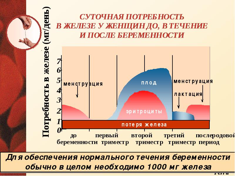 Анемии классификация патогенез лечение