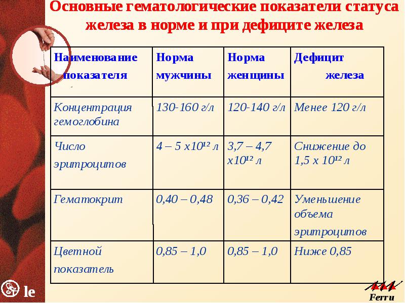 Анемии классификация патогенез лечение