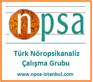 c:\users\sony\desktop\türk npsa logo.gif