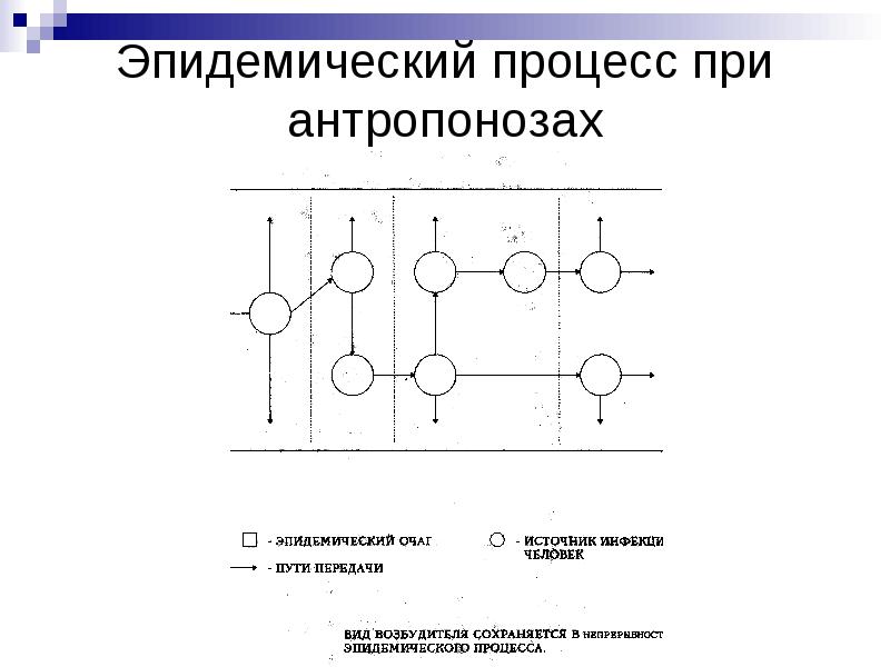 Эпидемический процесс схема - 93 фото