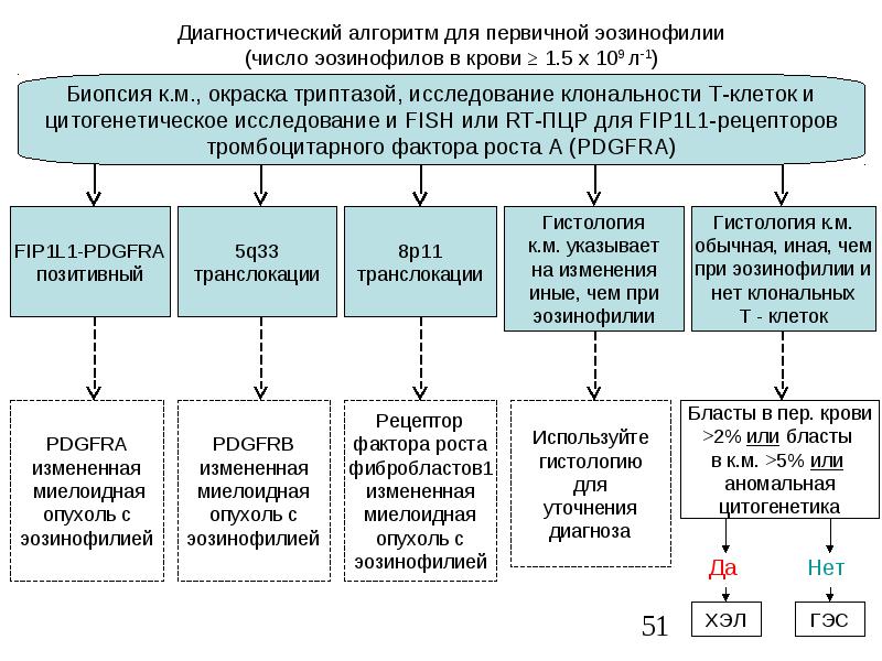 Алгоритм диагностики. Алгоритм для диагностики первичной эозинофилии. Эозинофилия диагностический алгоритм. Эозинофилия алгоритм диагностики. Лабораторно-диагностические алгоритмы при патологии крови.