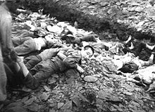 http://upload.wikimedia.org/wikipedia/commons/thumb/a/ac/prisoners_on_ground_before_execution%2ctaejon%2c_south_korea.jpg/220px-prisoners_on_ground_before_execution%2ctaejon%2c_south_korea.jpg