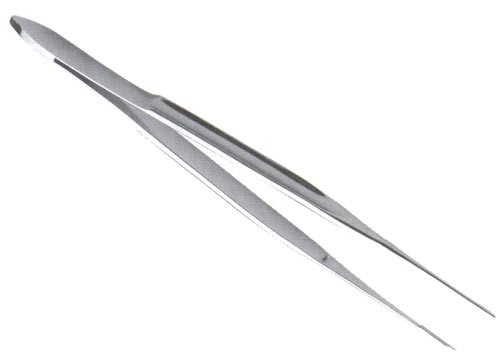 forceps.jpg